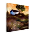 thumbnail image 2 of Trademark Fine Art 'House In The Fields 2' Canvas Art by Cherie Roe Dirksen, 2 of 3