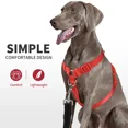 thumbnail image 2 of MASBRILL No Pull Dog Harness Soft Basic Nylon Adjustable Dog Vest Easy Walking Harness, 2 of 6