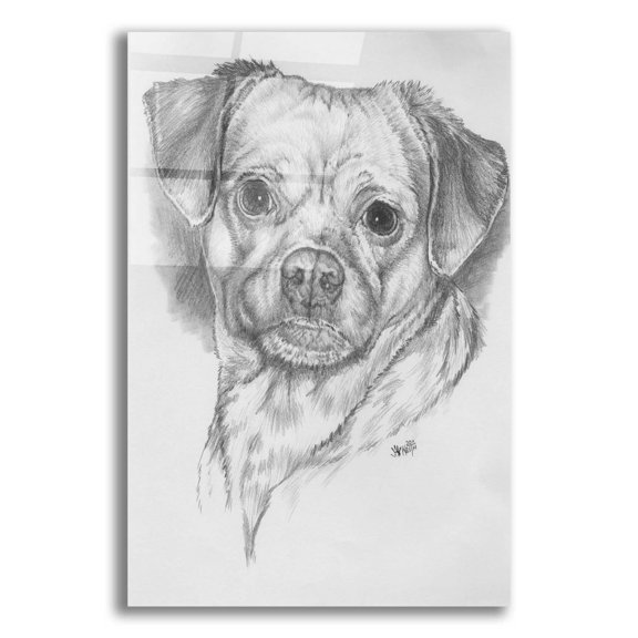 Epic Art 'Pugwawa' by Barbara Keith, Acrylic Glass Wall Art, 12"x16"