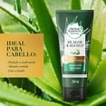 thumbnail image 2 of Protección del Color Acondicionador Herbal Essences Bio:Renew 6X A loe & Sea Kelp 250 ml, 2 of 5
