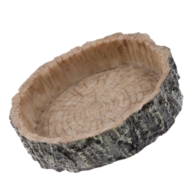 de es Alimentos Y Agua Esquina Suministros Tazón Zulema Reptile Food and Water Dish