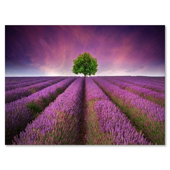 Designart ' Tree With Stunning Lavender Field Summer Sunset ' Farmhouse Canvas Wall Art Print