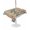 Brown, variant on Outdoor Tablecloth with Umbrella Hole for Patio/Picnic/Party/Camping, Sea Turtle Coastal Waterproof Table Cloth Round Cover Washable, Summer Nautical Starfish Coral Ocean (Dia 54")