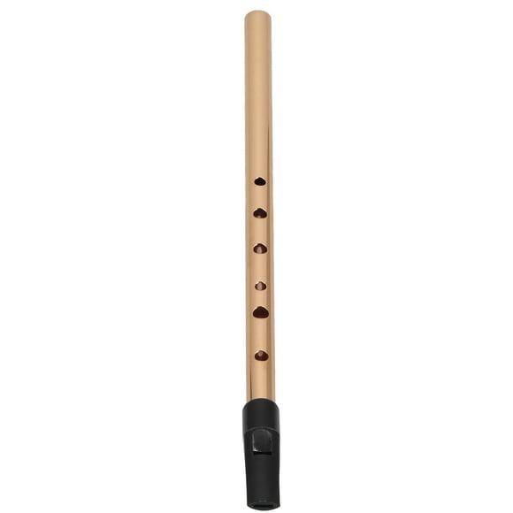 Tin Whistle Toy,Irish Whistle Penny Tin D Key Tin Whistle D Key Penny Whistle Elevate Your Experience