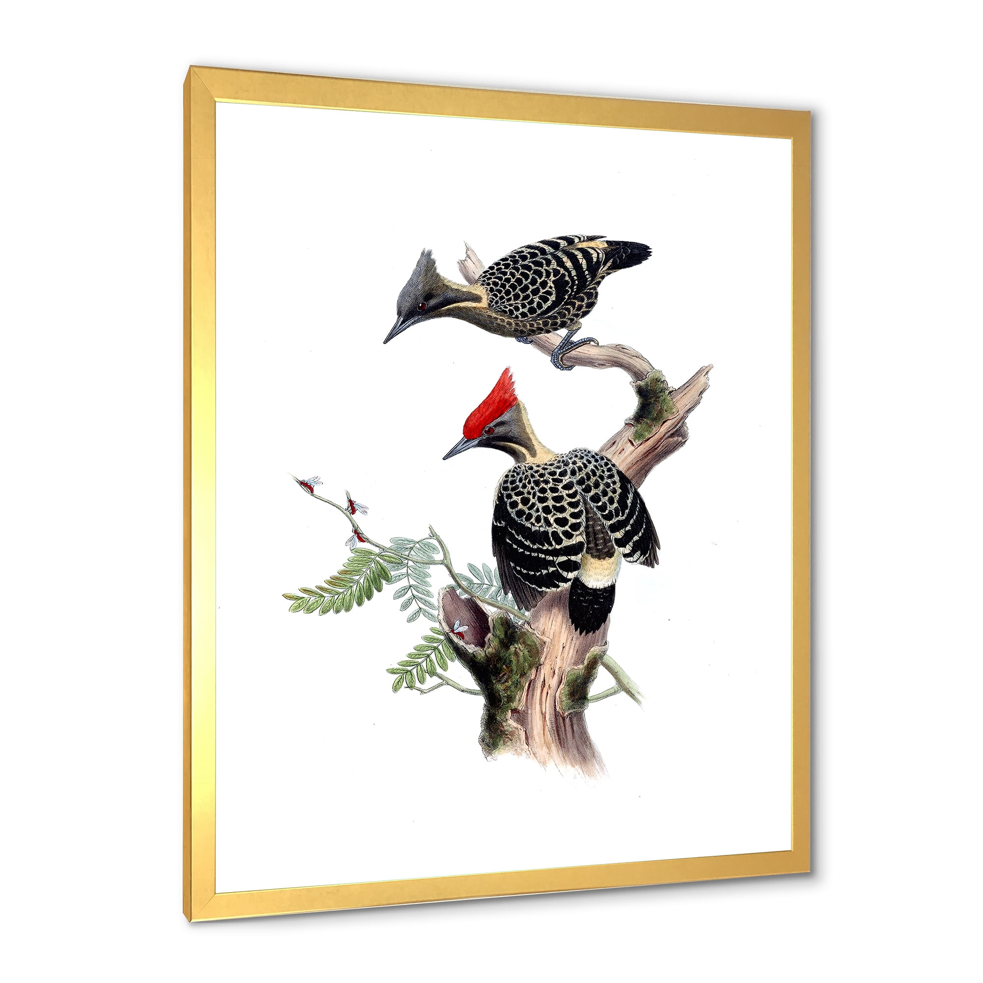 Designart 'Ancient Birds In The Wild VI' Traditional Framed Art Print