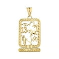 thumbnail image 1 of ANCIENT EGYPTIAN GOOD LUCK CARTOUCHE PENDANT NECKLACE IN YELLOW GOLD :  14K  Pendant with 16" chain, 1 of 1