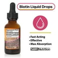 thumbnail image 2 of MAX ABSORPTION Biotin Liquid Drops (Mixed Berry), 5000 mcg Biotin Per Serving, 60 servings, No Artificial Preservatives, Vegan Friendly, Support Healthy Hair, Strengthen Nails, Improve Skin Health, 2 of 8
