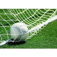 thumbnail image 3 of White Normal Size Football Goal Replacement Net for Training Exercise (Thickness 2 mm, Suitable for 5 People), 3 of 5