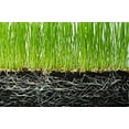thumbnail image 6 of Soil Vigor Potassium Polyacrylate Water Storing Crystals Gel for Plants 2 Pounds, 6 of 12