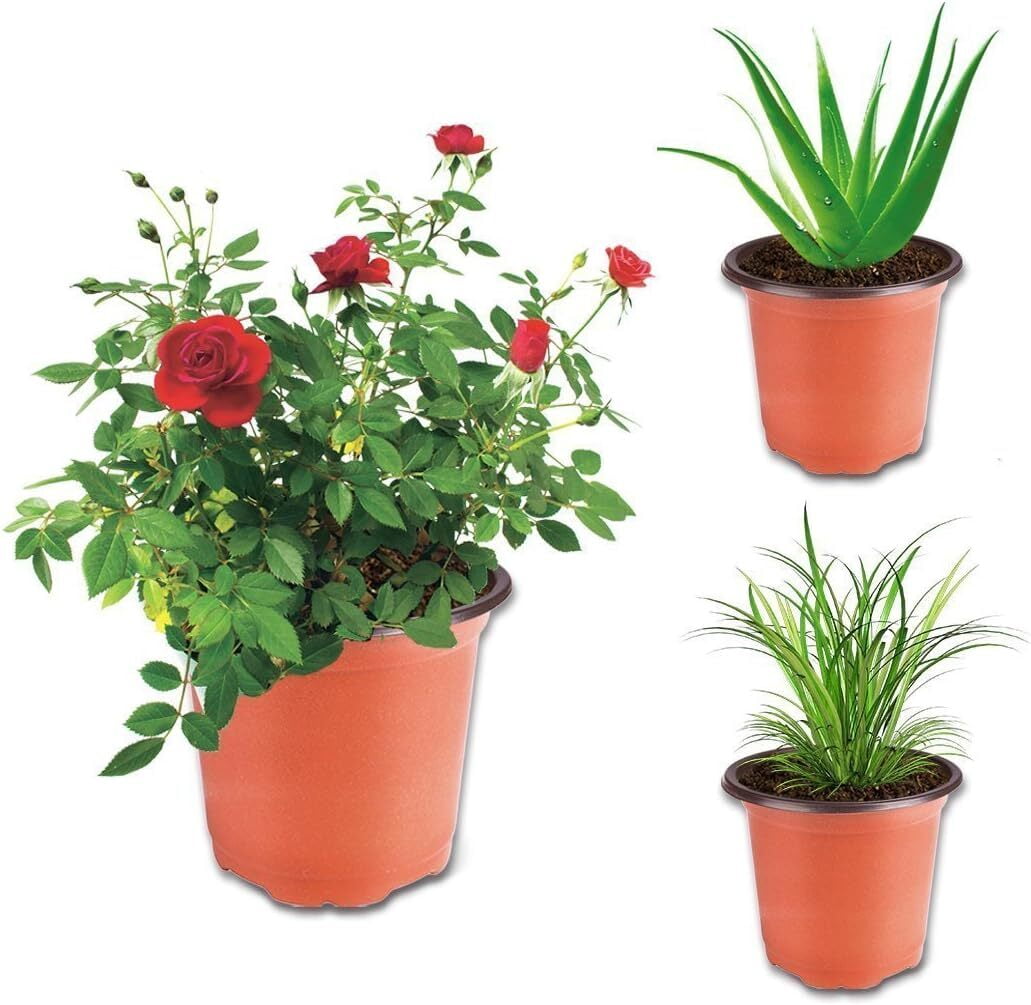 100 Pcs Flexible Plant Nursery Pots, 6 Inch Plastic Planting Flowerpots Gardening Pot, Seed Starting Flower Containers for Succulents(Red)