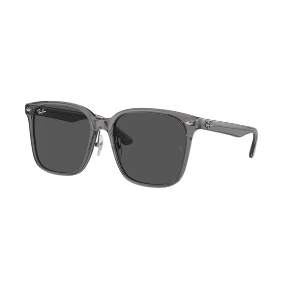 Sunglasses Ray-Ban RB 2206 D 139987 Transparent Grey Dark