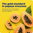 thumbnail image 4 of Enzymedica Papaya Gold, Advanced Digestive Enzymes with Natural Organic Papaya & Chlorophyll for Comprehensive Digestion Support, High Potency Bromelain & Papain, Vegan, Mint, 120 Chewable Tablets, 4 of 6