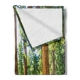 thumbnail image 2 of National Parks Soft Flannel Fleece Throw Blanket, View of Tree Branches in Scenic Springtime Conifers Sequoia Art Prints, Cozy Plush for Indoor and Outdoor Use, 50" x 60", Green Brown, by Ambesonne, 2 of 5