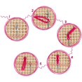 thumbnail image 3 of SAYDY Creative Latch Hook Rug Kits Rug Making Kits for Beginners Adults Kids Tapestry Kits Embroidery Kits Craft Kit Carpet Doormat Gift Home Decoration, 3 of 8