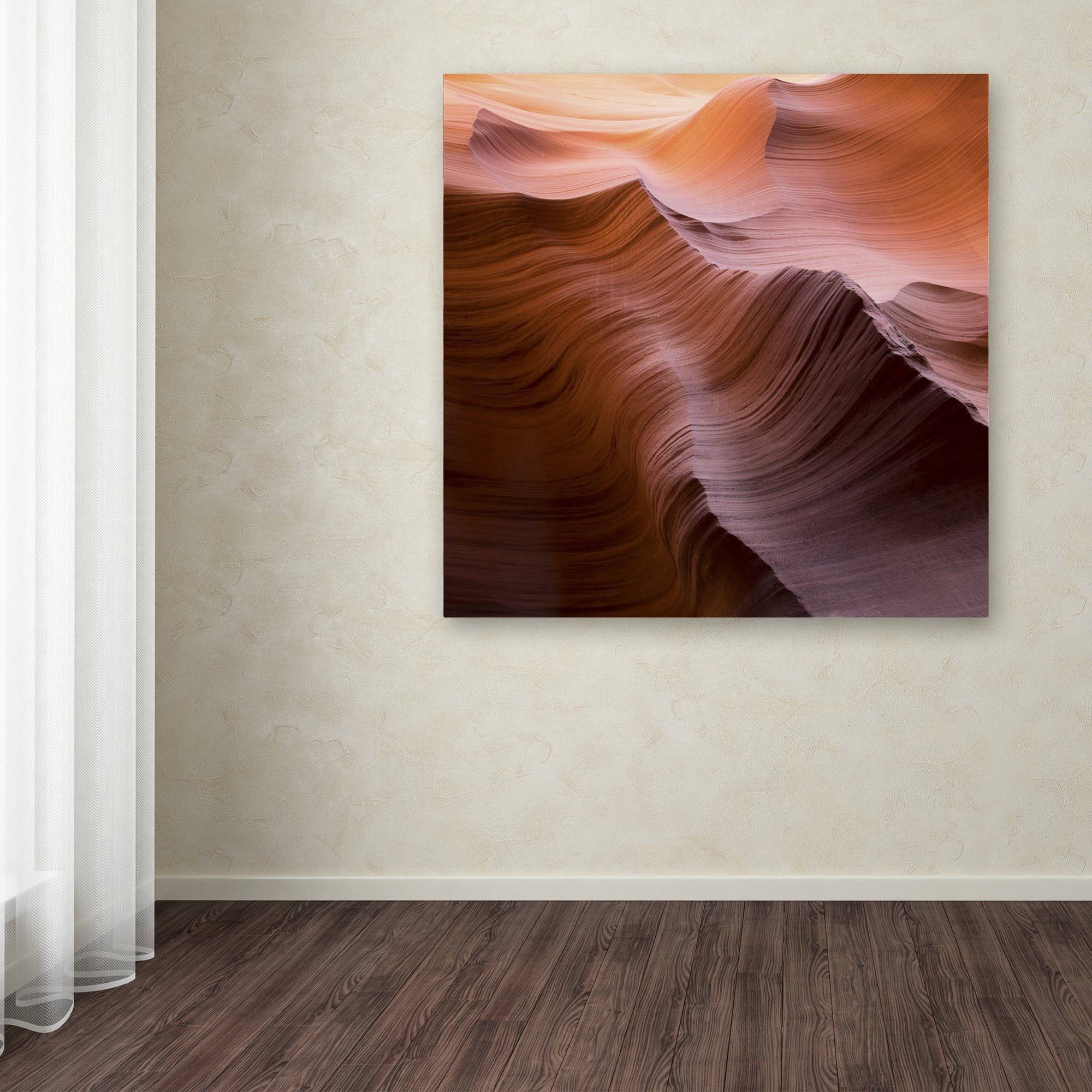 Trademark Fine Art "Smooth I" Canvas Art by Moises Levy