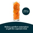 thumbnail image 3 of Libbey Set of 12 Clear Cylinder Glass Vase, Classic Standing Tall Cylinder Vase, Narrow Tall Glass Vases for Centerpieces, Pillar Candles, and More, 3 of 4