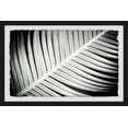 thumbnail image 2 of Palm Frond II Framed Painting Print, 2 of 6