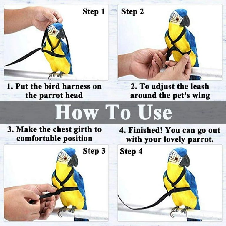 Parrotlet harness and leash sale