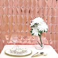 thumbnail image 3 of Balsa Circle Metallic Rose Gold Rectangle 6 feet Foil Tassels Fringe Backdrop Curtains Party, 3 of 8