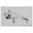 thumbnail image 1 of Great BIG Canvas | Rolled Vincent Alexander Booth Poster Print entitled Kitty, 2002, 1 of 4