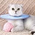 thumbnail image 2 of BeesClover Cat Elizabethan Collars Wound Healing Collars Adjustable Anti-bite Anti-licking Protective Circle Cat Supplies, 2 of 9