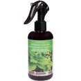 thumbnail image 1 of ScentSationals Room Spray - Peppermint & Tea Tree, 1 of 3