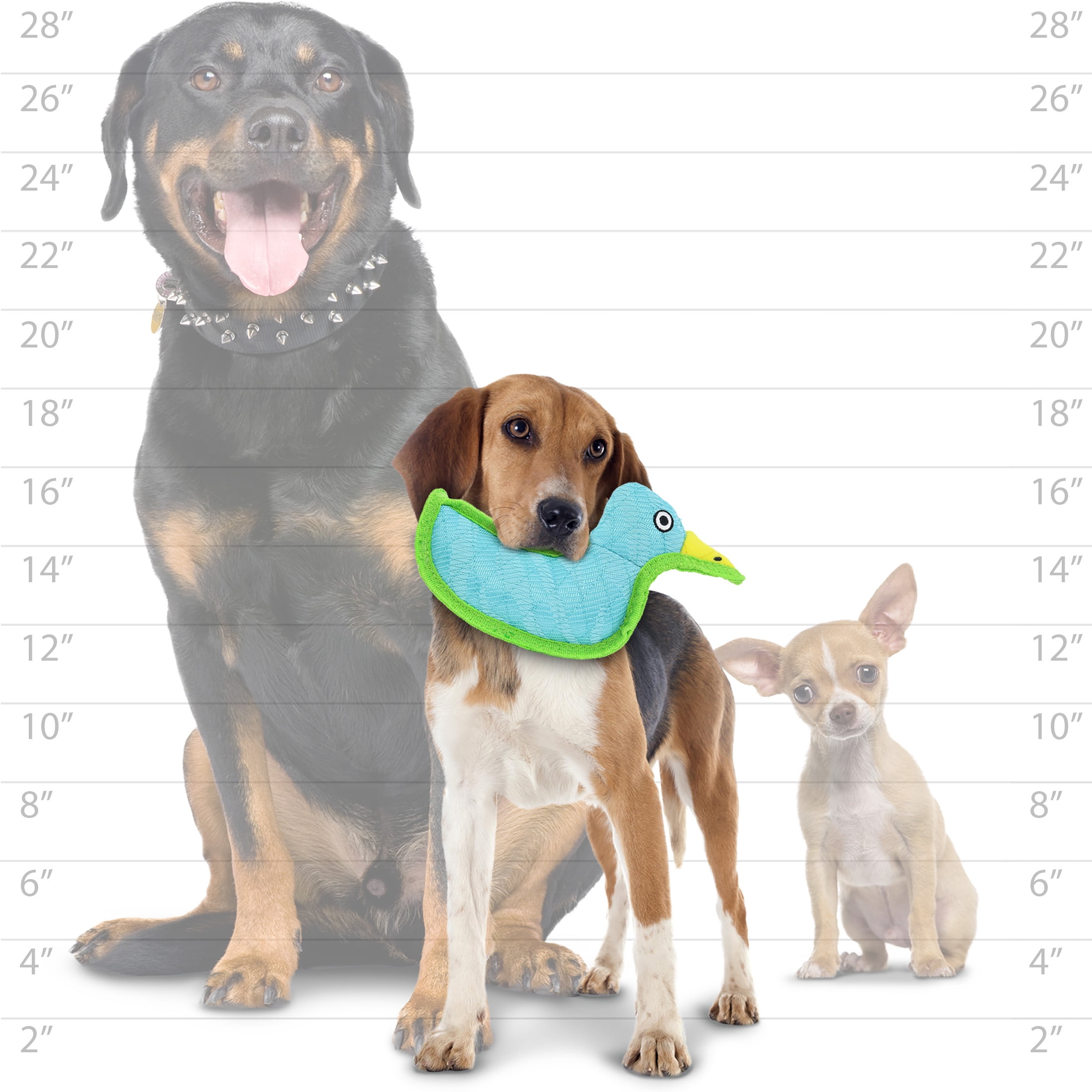 DuraForce Duck Tiger Blue-Green Durable Woven Fiber Dog Toy