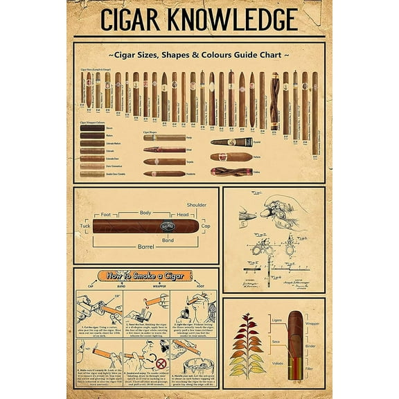 Cigar Knowledge Metal Tin Sign Cigar Size Shape Color Guide Diagram Metal Poster Plaque Used for Coffee Shop Bar Club Home Kitchen Infographic 8x12 Inches