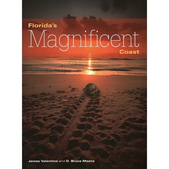 Florida Magnificent Wilderness: Florida's Magnificent Coast (Paperback)