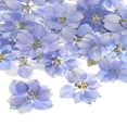thumbnail image 1 of Paquete de 24 flores secas prensadas para resina, flores naturales secas para manualidades/joyería/jabones/álbumes de recortes/velas/resina epóxica/marcos de fotos [Púrpura], 1 of 1