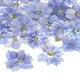 thumbnail image 1 of Paquete de 24 flores secas prensadas para resina, flores naturales secas para manualidades/joyería/jabones/álbumes de recortes/velas/resina epóxica/marcos de fotos [Púrpura], 1 of 1