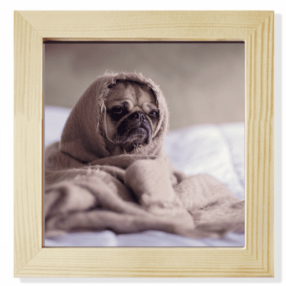 bulldog pet animal lly picture Square Picture Frame Wall Tabletop Display