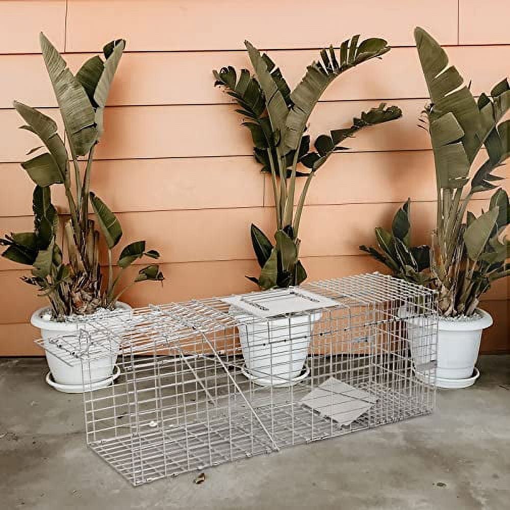 H&B Luxuries High Sensitivity Gravity Pedal Cage Rodent Trap, Large, 2 Count