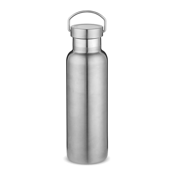 Neihepal 20oz Leakproof Stainless Steel Insulated Water Bottle with Handle, BPA Free, 1 Pack, Silver