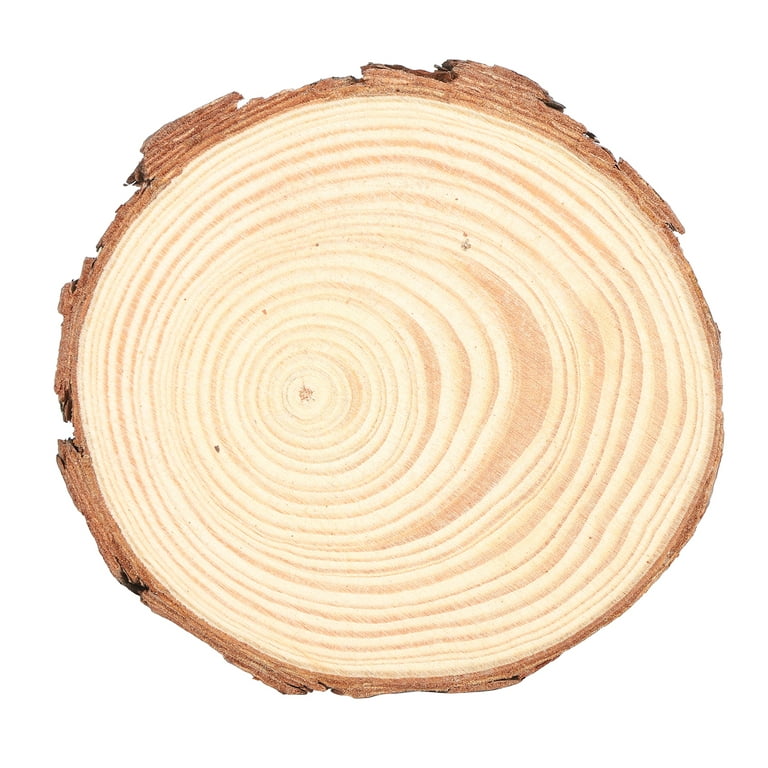 Fuyit Natural Wood Slices 30 Pcs 2.8-3.1 inches Craft Wood Kit Unfinished  Predrilled with Hole Wooden Circles Tree Slices for Arts and Crafts