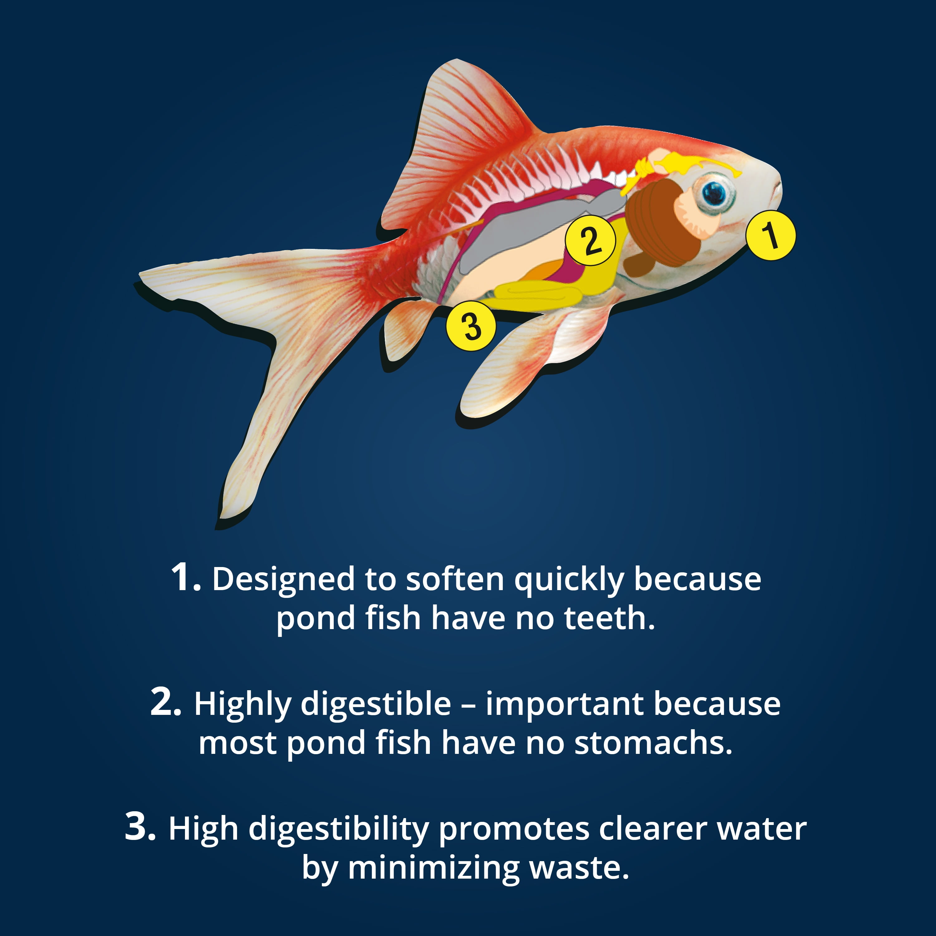 Tetra Pond Fish Food Premium Sticks Diet for Koi and Goldfish, 1.25 lbs