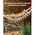 thumbnail image 3 of Reptile Bridge, Bamboo Climbing Ladder Lounger for Gecko Tank Accessories, 2 Pack Habitat Decor for Lizards, Chameleons, Frogs and Hermit Crabs, 3 of 8