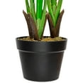 thumbnail image 7 of Northlight 4.25' Unlit Green Artificial Traveller's Tree with Black Pot, 7 of 7