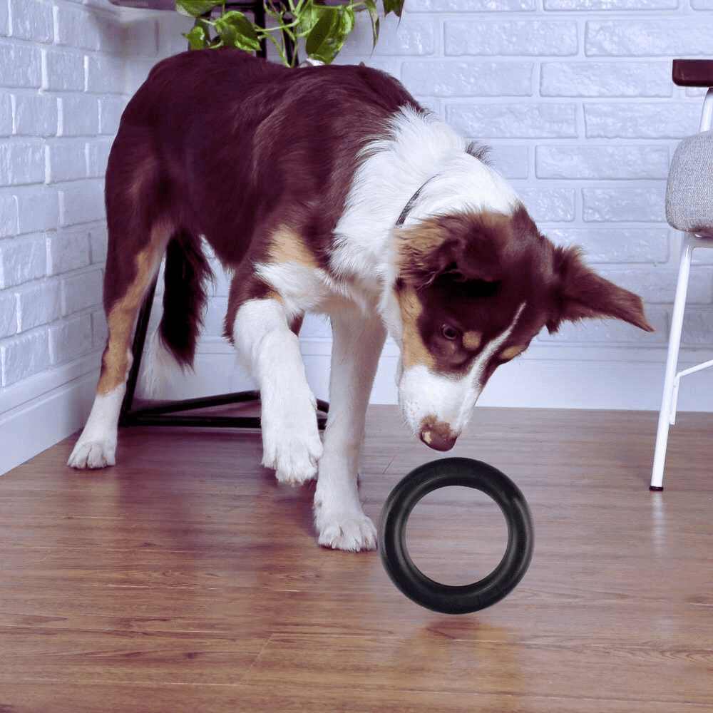 Hevea Pet Natural Rubber Non Toxic EcoTough Ring Dog Toy