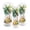 Coconut Tree Capybara Turtle, variant on Uorisanigo Golf Club Head Covers for Fairway Woods, Drivers and Hybrid, - 3-Pack Sunset Palm Tree Golf Club Headcovers for Men & Women- Premium PU Leather, Double Elastic Band
