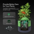 thumbnail image 4 of Breathable Nonwoven Fabric Garden Planting Containers | 13.78x11.02 in Green Grow Bags with Handles | Durable Aeration Pots for Vegetables & Gardening | Reusable & Easy to Move, 4 of 6