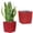 Red, variant on Tall Planters for Outdoor Plants,Large Planters for Outdoor Plants,Rattan Decor Plant Pots for Indoor Outdoor Front Porch Patio Backyard(Brown)