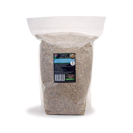 Kentucky 31 K31 Tall Fescue Grass Seed by Eretz 5lb - CHOOSE SIZE! State Certified No fillers No Weed or Other Crop Seeds.