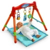 Baby Connection Fold And Go Activity Gym