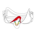 thumbnail image 2 of Visor Cressi Máscara Adulto Calibro Blanco/Rosa, 2 of 2