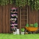 thumbnail image 4 of Bolsa de cultivo vertical de 6 bolsillos, ideal para jardines interiores y exteriores, hecha de fieltro ecológico y transpirable, color negro., 4 of 7