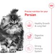 thumbnail image 3 of Nutrition pour Races Félines - Nourriture Persane pour Chaton - 1,36 kg, 3 of 5