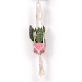 thumbnail image 2 of Colgador para Plantas perfecl Soporte de Macetas de Flores Tejido de Europeo Color beige, 2 of 7