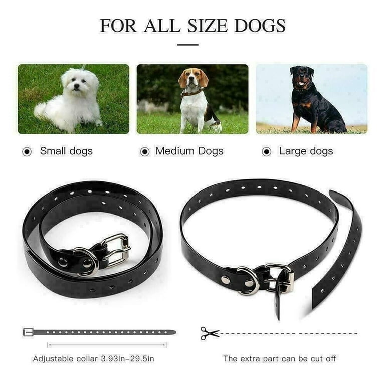 Off leash shock collar hot sale