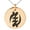Rose, variant on Tioneer Stainless Steel Aztec Supremacy Rune Engraved Small Medallion Circle Charm Pendant Necklace